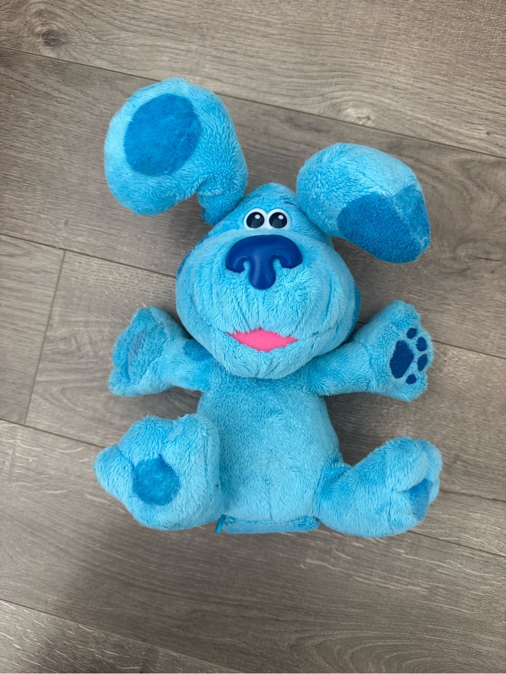 Blues clues stuffy